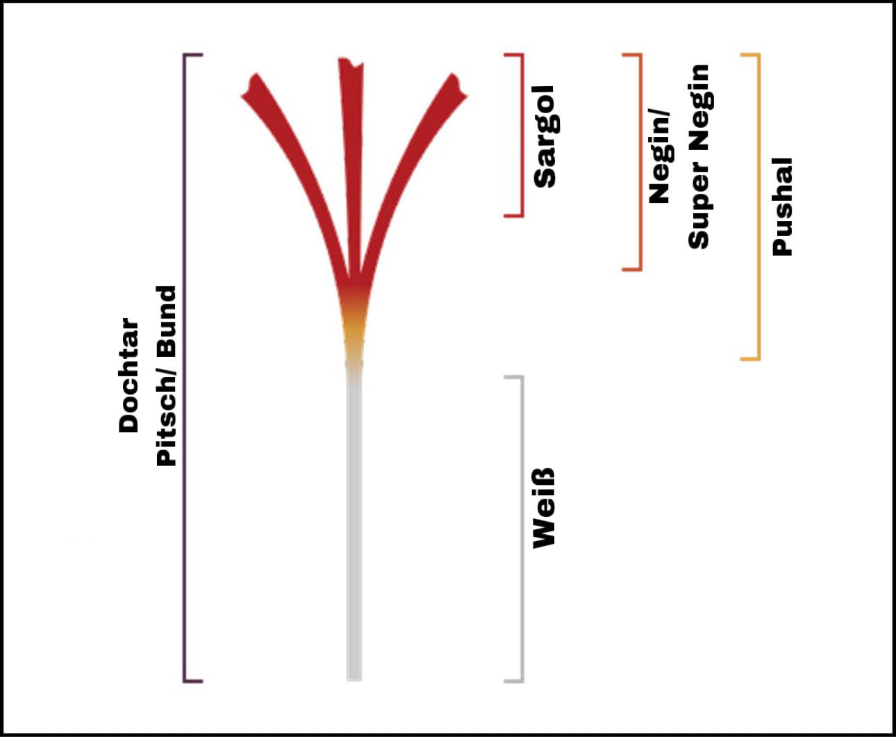 Safransorten – Unterschiede, Qualität und Besonderheiten - Hi Quality Safran