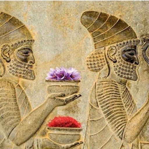 Geschichte des Safrans: Eine Reise mit dem roten Gold - Hi Quality Safran